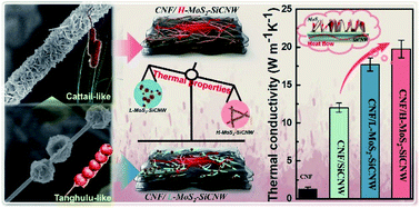 Graphical abstract: From tanghulu-like to cattail-like SiC nanowire architectures: interfacial design of nanocellulose composites toward high thermal conductivity