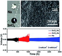 Graphical abstract: Building an artificial solid electrolyte interphase with high-uniformity and fast ion diffusion for ultralong-life sodium metal anodes