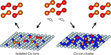 Graphical abstract: Catalytic activity for dissociative oxygen adsorption of Co-based oxides at high temperature evaluated by a modified pulse isotopic exchange technique