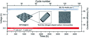 Graphical abstract: Guiding lithium deposition in tent-like nitrogen-doped porous carbon microcavities for stable lithium metal anodes