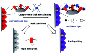 Graphical abstract: Chemistry on the electrodes: post-functionalization and stability enhancement of anchored dyes on mesoporous metal oxide photoelectrochemical cells with copper-free Huisgen cycloaddition reaction
