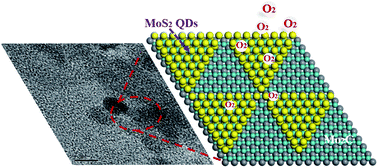 Graphical abstract: Interface modulation of Mo2C@foam nickel via MoS2 quantum dots for the electrochemical oxygen evolution reaction