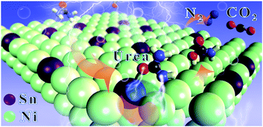 Graphical abstract: Accurate synergy effect of Ni–Sn dual active sites enhances electrocatalytic oxidation of urea for hydrogen evolution in alkaline medium