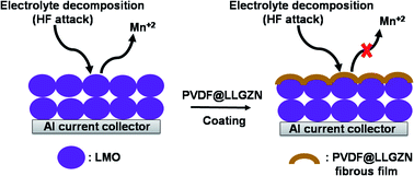 Graphical abstract: Garnet–PVDF composite film modified lithium manganese oxide cathode and sulfurized carbon anode from polyacrylonitrile for lithium-ion batteries
