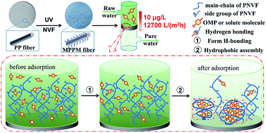 Graphical abstract: Hydrogen bonding-induced hydrophobic assembly yields strong affinity of an adsorptive membrane for ultrafast removal of trace organic micropollutants from water
