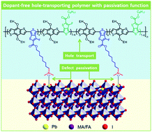 Graphical abstract: Simultaneous hole transport and defect passivation enabled by a dopant-free single polymer for efficient and stable perovskite solar cells