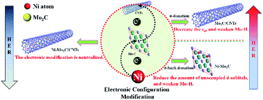 Graphical abstract: Realizing electronic modulation on Mo sites for efficient hydrogen evolution reaction