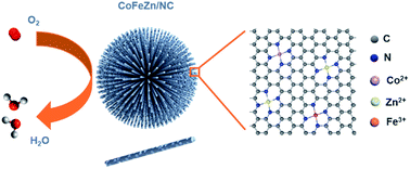 Graphical abstract: Trimetal atoms confined in openly accessible nitrogen-doped carbon constructs for an efficient ORR