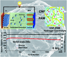 Graphical abstract: A stretchable solid-state zinc ion battery based on a cellulose nanofiber–polyacrylamide hydrogel electrolyte and a Mg0.23V2O5·1.0H2O cathode