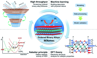 Graphical abstract: Accelerating 2D MXene catalyst discovery for the hydrogen evolution reaction by computer-driven workflow and an ensemble learning strategy