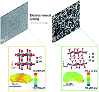 Graphical abstract: Uncovering phase transformation, morphological evolution, and nanoscale color heterogeneity in tungsten oxide electrochromic materials