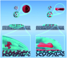Graphical abstract: Efficient spreading and controllable penetration of high-speed drops on superhydrophobic surface by vesicles
