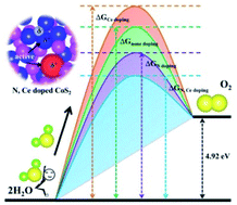 Graphical abstract: Origin of the enhanced oxygen evolution reaction activity and stability of a nitrogen and cerium co-doped CoS2 electrocatalyst