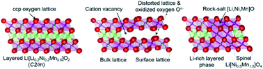 Graphical abstract: Phosphoric acid and thermal treatments reveal the peculiar role of surface oxygen anions in lithium and manganese-rich layered oxides