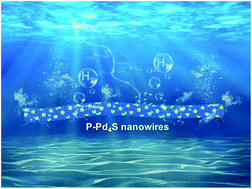 Graphical abstract: Phosphorus-triggered modification of the electronic structure and surface properties of Pd4S nanowires for robust hydrogen evolution electrocatalysis
