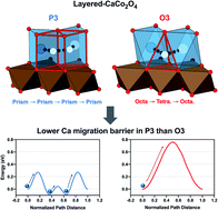 Graphical abstract: Thermodynamic and kinetic properties of layered-CaCo2O4 for the Ca-ion batteries: a systematic first-principles study