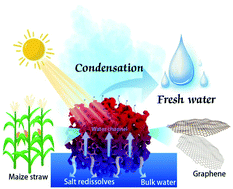 Graphical abstract: Self-floating maize straw/graphene aerogel synthesis based on microbubble and ice crystal templates for efficient solar-driven interfacial water evaporation