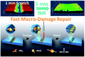 Graphical abstract: NIR driven fast macro-damage repair and shear-free reprocessing of thermoset elastomers via dynamic covalent urea bonds