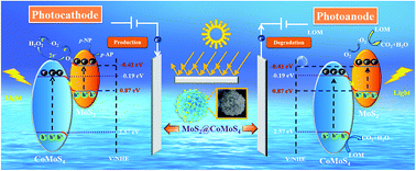 Graphical abstract: Z-Scheme 2D/3D hierarchical MoS2@CoMoS4 flower-shaped arrays with enhanced full spectrum light photoelectrocatalytic activity for H2O2/p-aminophenol production and contaminant degradation