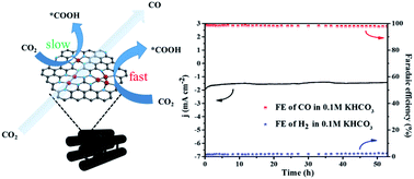 Graphical abstract: Iron clusters boosted performance in electrocatalytic carbon dioxide conversion