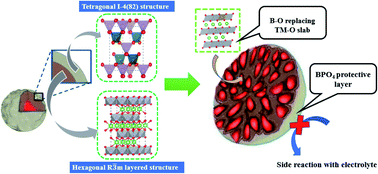 Graphical abstract: Suppressing H2–H3 phase transition in high Ni–low Co layered oxide cathode material by dual modification