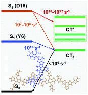 Graphical abstract: Multi-channel exciton dissociation in D18/Y6 complexes for high-efficiency organic photovoltaics