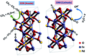 Graphical abstract: Remarkable performance of the unique Pd–Fe2O3 catalyst towards EOR and ORR: non-Pt and non-carbon electrode materials for low-temperature fuel cells
