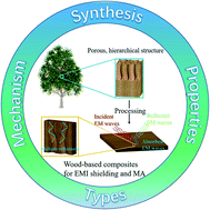 Graphical abstract: Sustainable wood-based composites for microwave absorption and electromagnetic interference shielding
