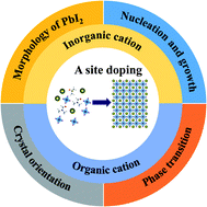 Graphical abstract: Effects of A site doping on the crystallization of perovskite films