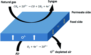 Graphical abstract: Oxygen diffusion behaviour of A-site deficient (La0.8Sr0.2)0.95Cr0.5Fe0.5O3−δ perovskites in humid conditions