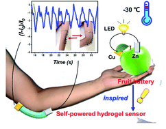 Graphical abstract: Fruit-battery-inspired self-powered stretchable hydrogel-based ionic skin that works effectively in extreme environments