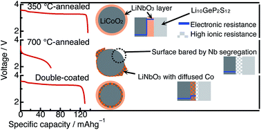 Graphical abstract: Annealing-induced evolution at the LiCoO2/LiNbO3 interface and its functions in all-solid-state batteries with a Li10GeP2S12 electrolyte