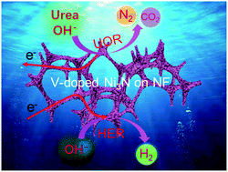 Graphical abstract: 3D self-supported porous vanadium-doped nickel nitride nanosheet arrays as efficient bifunctional electrocatalysts for urea electrolysis