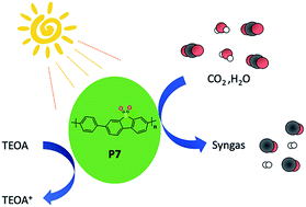 Graphical abstract: Photocatalytic syngas production using conjugated organic polymers