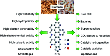 Graphical abstract: Recent progress in the development of biomass-derived nitrogen-doped porous carbon
