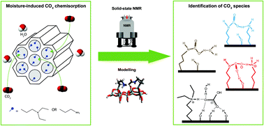 Graphical abstract: Unravelling moisture-induced CO2 chemisorption mechanisms in amine-modified sorbents at the molecular scale
