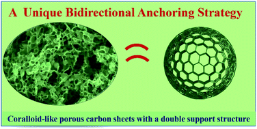 Graphical abstract: Design of unique porous carbons with double support structure: toward overall performance by employing bidirectional anchoring strategy