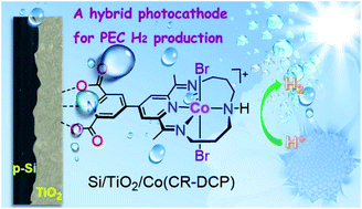 Graphical abstract: Boosting the performance of a silicon photocathode for photoelectrochemical hydrogen production by immobilization of a cobalt tetraazamacrocyclic catalyst
