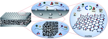 Graphical abstract: Sandwich-like multi-scale hierarchical porous carbon with a highly hydroxylated surface for flow batteries