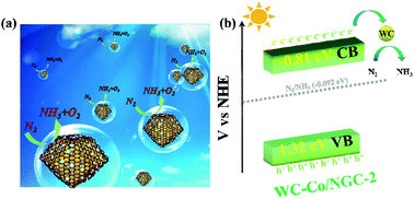 Graphical abstract: WC and cobalt nanoparticles embedded in nitrogen-doped carbon 3D nanocage derived from H3PW12O40@ZIF-67 for photocatalytic nitrogen fixation
