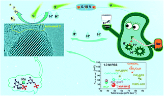 Graphical abstract: Beyond traditional water splitting for energy-efficient waste-to-hydrogen conversion with an inorganic–carbon hybrid nanosheet electrocatalyst