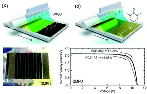 Graphical abstract: Scalable perovskite coating via anti-solvent-free Lewis acid–base adduct engineering for efficient perovskite solar modules