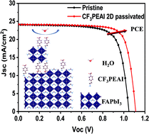 Graphical abstract: Deep surface passivation for efficient and hydrophobic perovskite solar cells