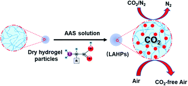 Graphical abstract: Next generation amino acid technology for CO2 capture