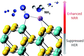 Graphical abstract: Enhanced N2 affinity of 1T-MoS2 with a unique pseudo-six-membered ring consisting of N–Li–S–Mo–S–Mo for high ambient ammonia electrosynthesis performance