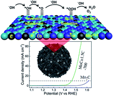 Graphical abstract: Unprecedented electrocatalytic oxygen evolution performances by cobalt-incorporated molybdenum carbide microflowers with controlled charge re-distribution