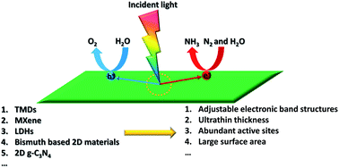 Graphical abstract: Two-dimensional building blocks for photocatalytic ammonia production