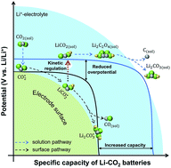 Graphical abstract: Kinetics of the CO2 reduction reaction in aprotic Li–CO2 batteries: a model study