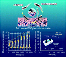 Graphical abstract: A thermally robust and strongly oxidizing surface of WO3 hydrate nanowires for electrical aldehyde sensing with long-term stability