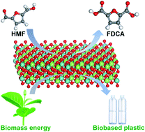Graphical abstract: Boosting HMF oxidation performance via decorating ultrathin nickel hydroxide nanosheets with amorphous copper hydroxide islands